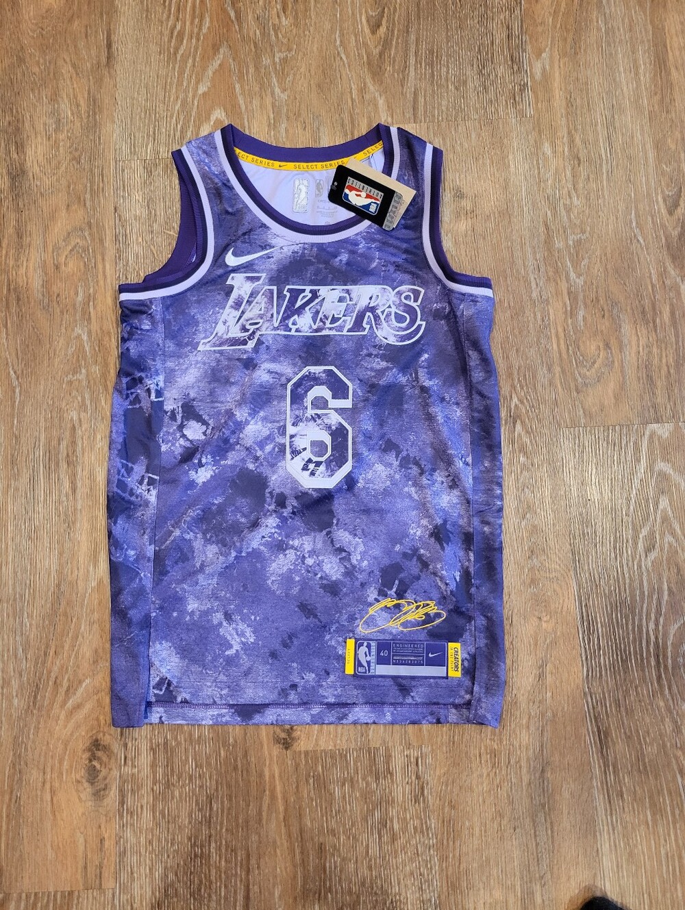 NWT Mens Nike Drifit (S) Los Angeles Lakers Basketball Jersey #6 Lebron James